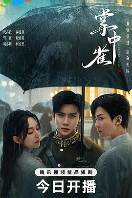 掌中雀 第22集