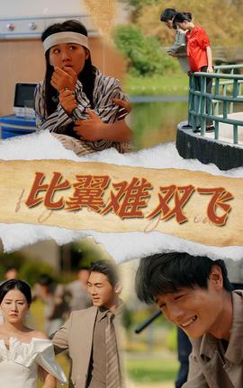 比翼难双飞 全集(大结局)