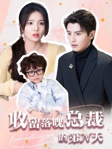 收留落魄总裁的第N天 全集(大结局)