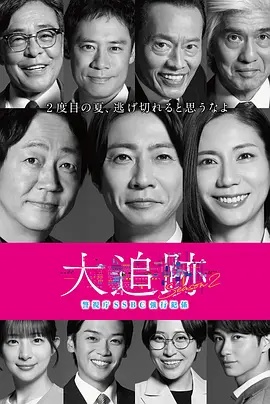 大追踪〜警视厅SSBC强行犯系〜 第二季(全集)